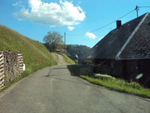 Zwarte Woud 08874